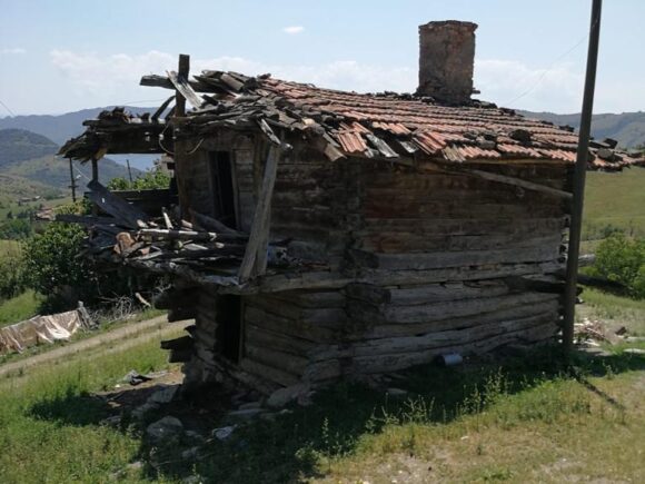 Türkiye’de Tıbbi ve Aromatik Bitkiler